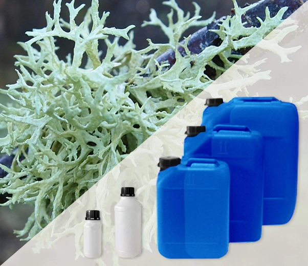 Industrial packaging of oak moss absolute oils
