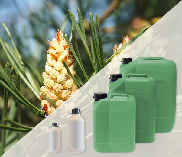 Industrial packaging of Scots pine air fresheners