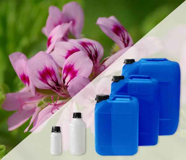 Industrial packaging of African Geranium essential oils