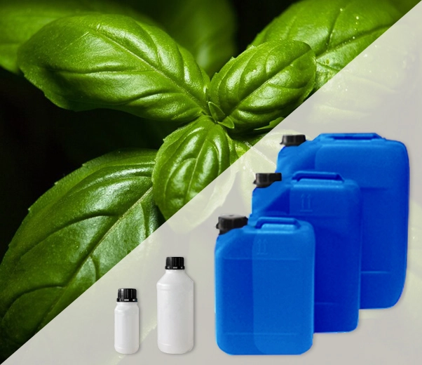 Industrial packaging of Basil essential oils