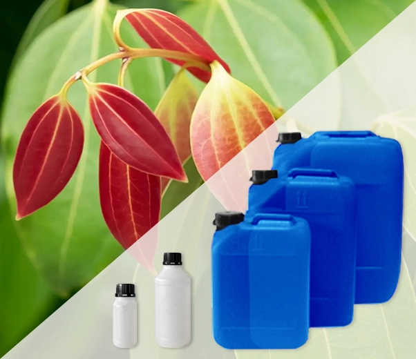Industrial packaging of essential oils Cinnamon leaves