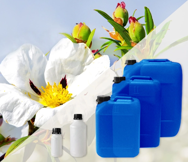 Industrial packaging of Cistus essential oils