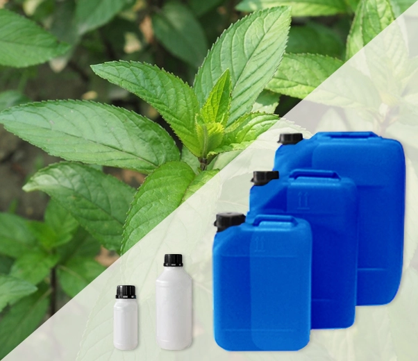 Industrial packaging of Mentha arvensis essential oils