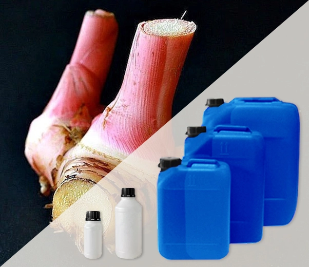 Industrial packaging of Galanga essential oils