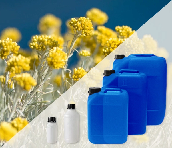Industrial packaging of Helichrysum essential oils