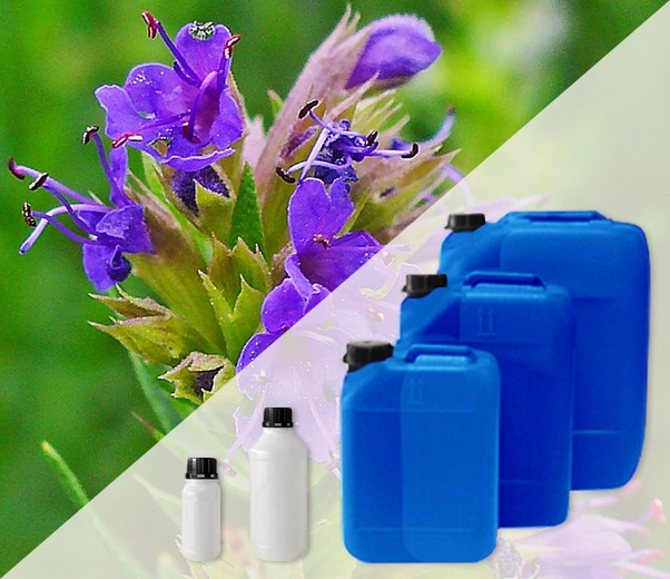 Industrial packaging of Hyssop essential oils