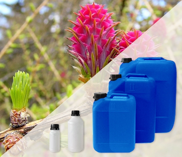 Industrial-packaging-essential-oils-Larch