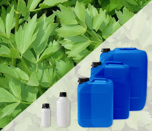 Industrial packaging of essential oils of Lovage leaves