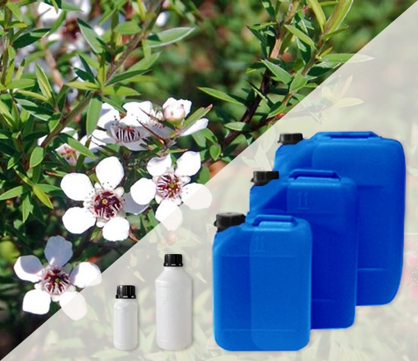 Industrial packaging of Manuka essential oils