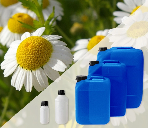 Industrial packaging of essential oils Matricaria chamomile