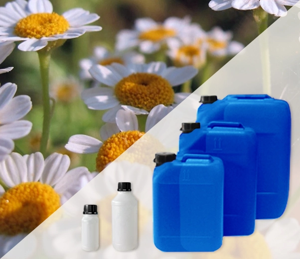 Industrial packaging of Moroccan chamomile essential oils