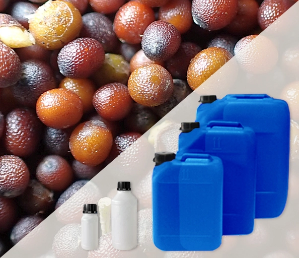 Industrial packaging of Mustard essential oils