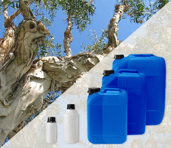 Industrial packaging of Niaouli essential oils