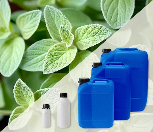 Industrial packaging of oregano essential oils