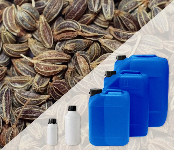 Industrial packaging of essential oils, parsley seeds