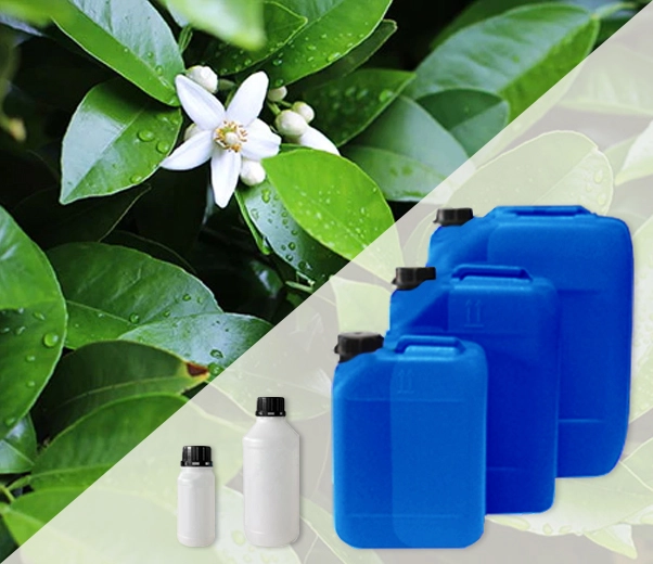 Industrial packaging of Petitgrain essential oils from Paraguay