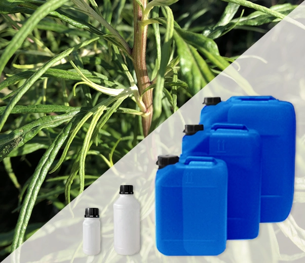 Industrial packaging of essential oils of Tarragon