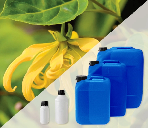 Industrial packaging of Ylang Ylang essential oils