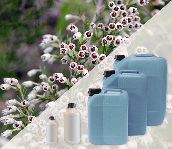 Industrial packaging of Andalusian Erica fragrances