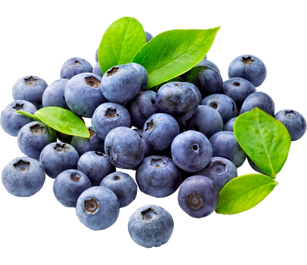 Blueberries berries Blueberries berries