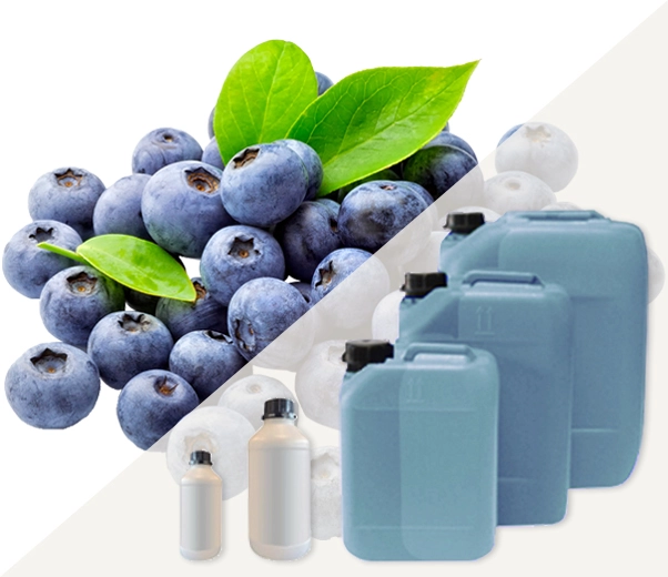 Industrial packaging of Blueberry fragrances