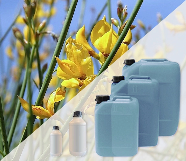 Industrial packaging of Ginestra flower fragrances
