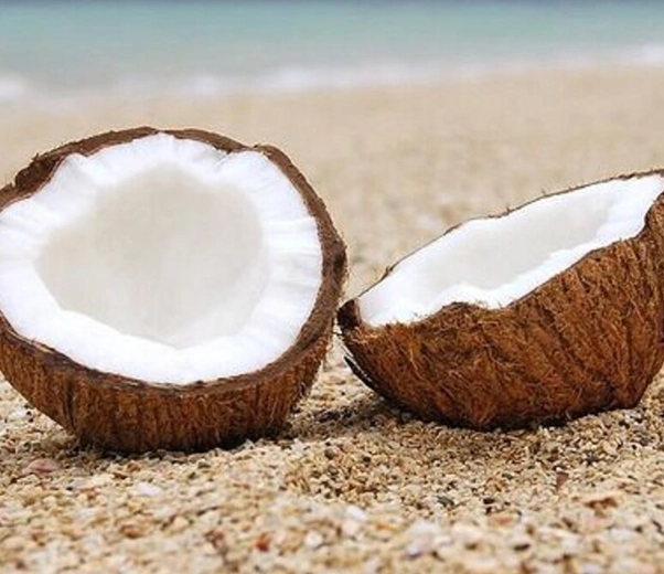 Coconut