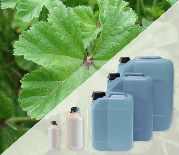 Industrial packaging of Mallow fragrances
