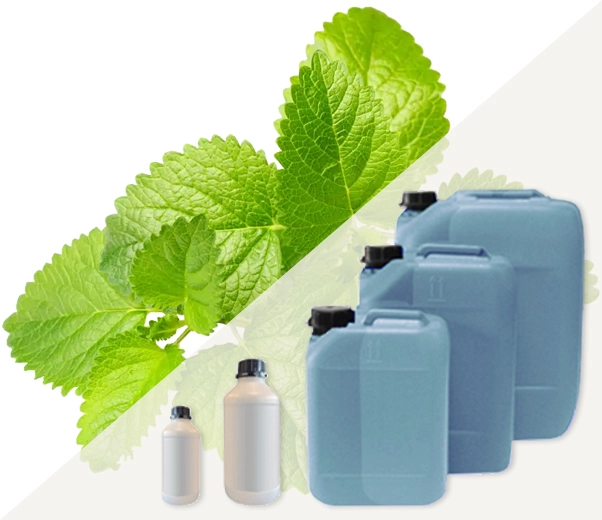 Industrial packaging of Melissa fragrances