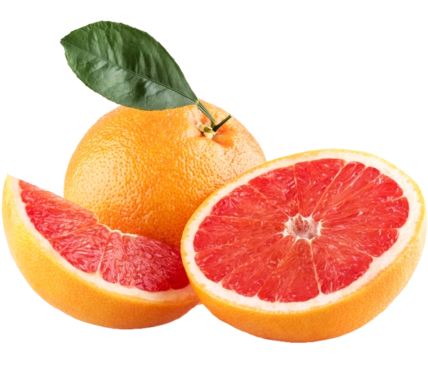Pink grapefruit fruit