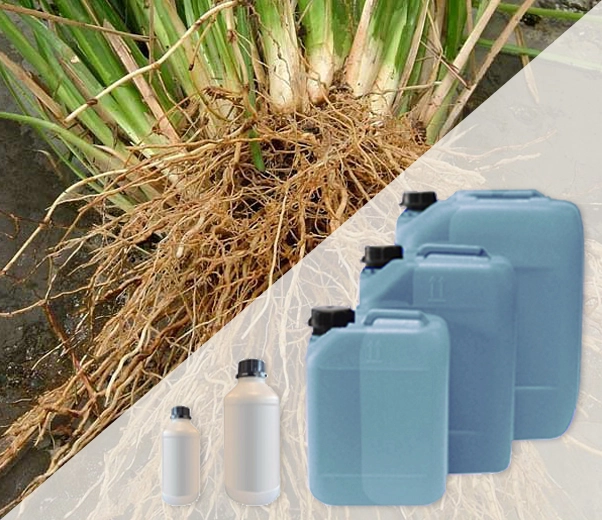 Industrial packaging of Vetiver fragrances