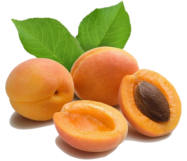 Apricot fruit