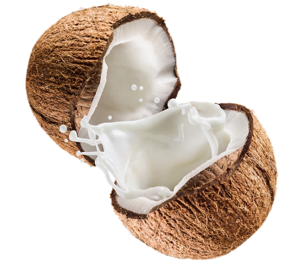 Coconut milk