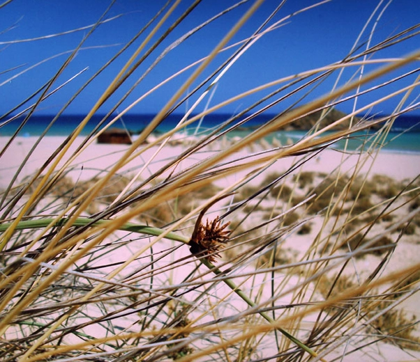 Chrissi, blue sea, saltiness