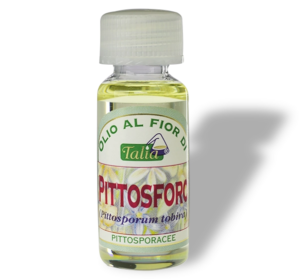 Pittosporum Flower Vial