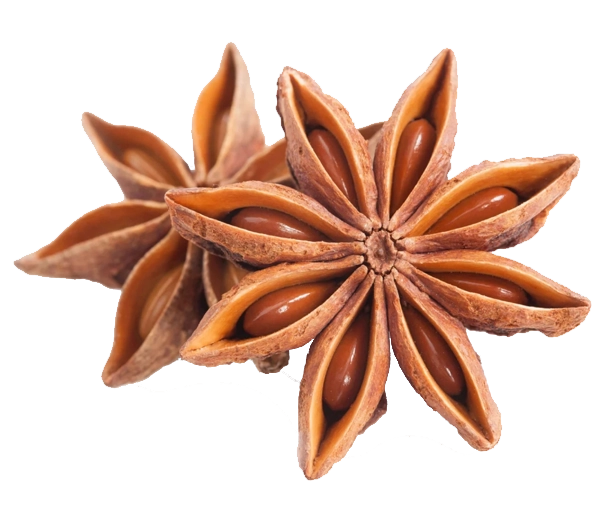 Star anise fruit