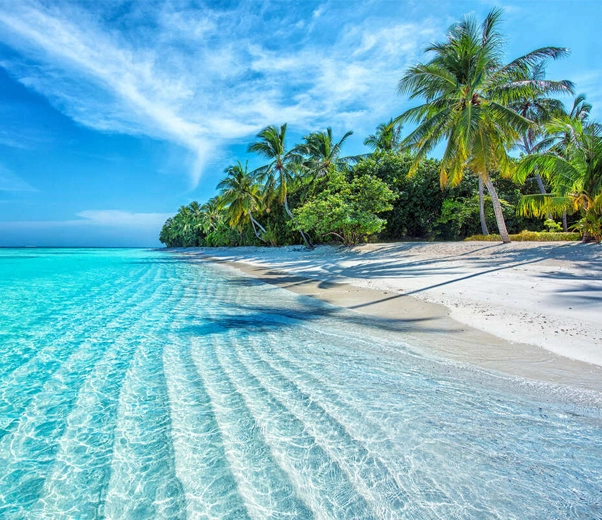 Tropical beach