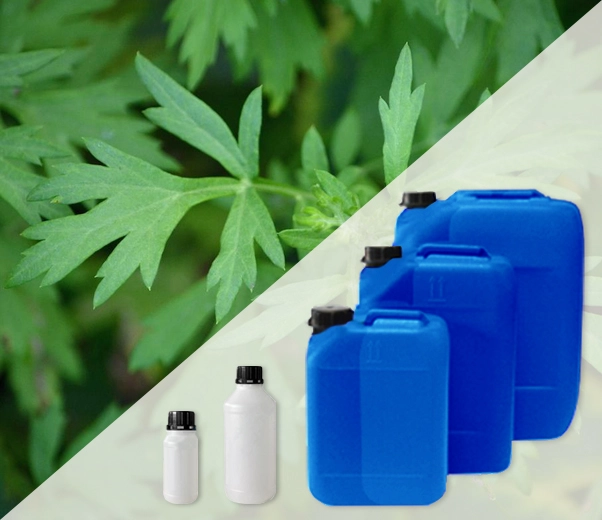 Industrial packaging of Artemisia essential oils