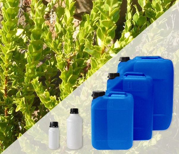 Industrial packaging of Bucco essential oils