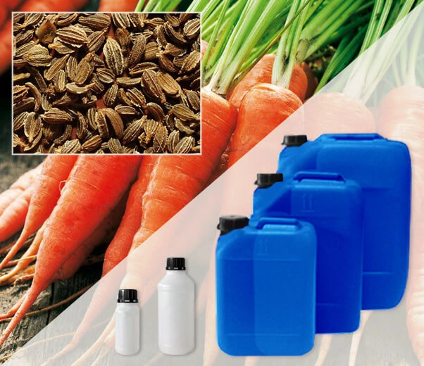 Industrial packaging of essential oils Carora seeds