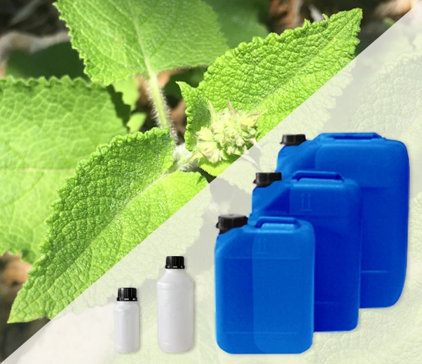 Industrial packaging of Clary Sage essential oils