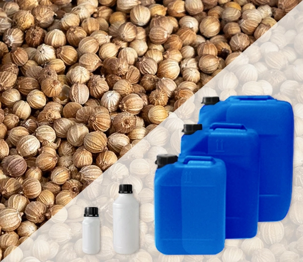 Industrial packaging of essential oils of Coriander