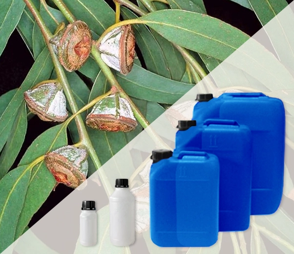 Industrial packaging of Eucalyptus essential oils