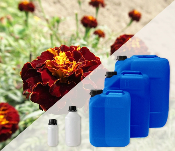 Industrial packaging of Tagete essential oils