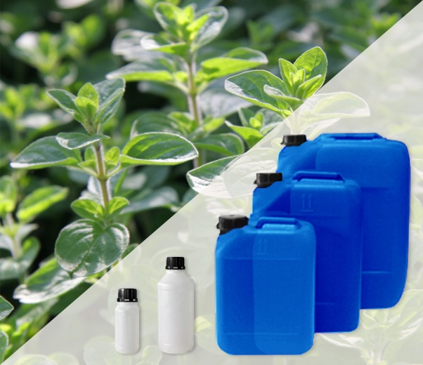 Industrial packaging of Marjoram essential oils