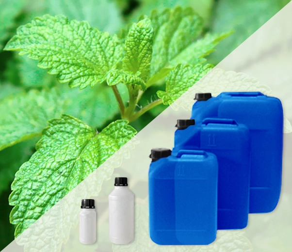 Industrial packaging of Melissa essential oils