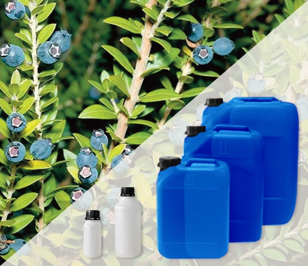 Industrial packaging of Myrtle essential oils