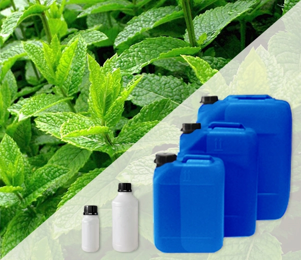 Industrial packaging of peppermint essential oils