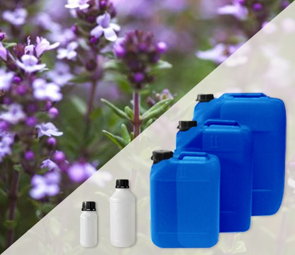 Industrial packaging of essential oils Red Thyme
