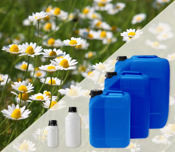 Industrial packaging of Roman chamomile essential oils
